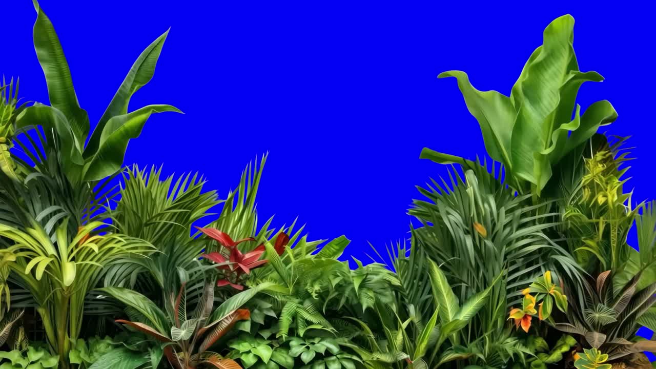 Tropical jungle border animation, transparent 4K video, green screen
