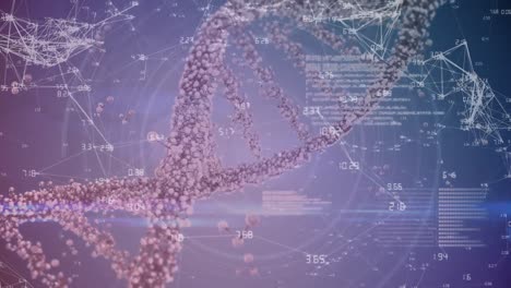 DNA-Strang-Auf-Blauem-Und-Violettem-Hintergrund-Drehen