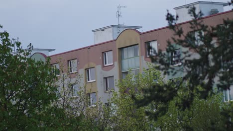 a view from behind the trees of a block of flats on a cold gloomy morning