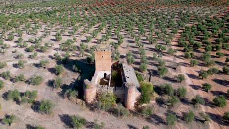 Vista-Por-Drones-Del-Histórico-Edificio-Del-Castillo-En-Medio-De-Un-Olivar-Con-Hojas-Verdes-Tomando-El-Sol-En-Un-Día-De-Verano