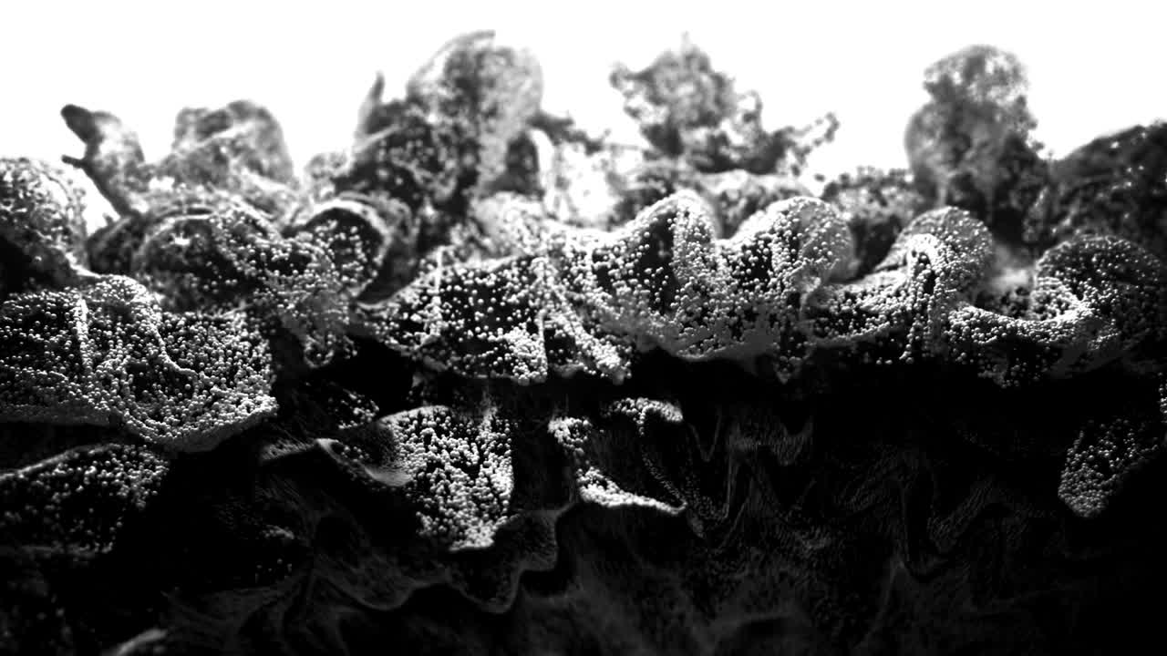 Unique Particle Explosion. 4K.