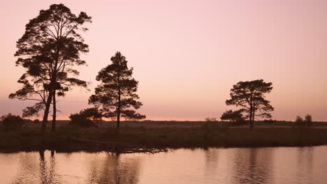 sunset over a tranquil forest river