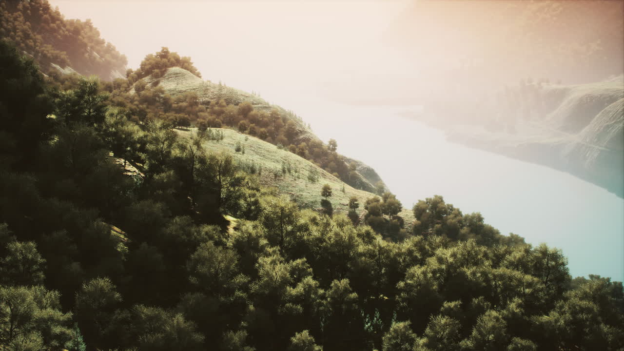 열대우림 생태계 와 건강 한 환경 의 공중 상상