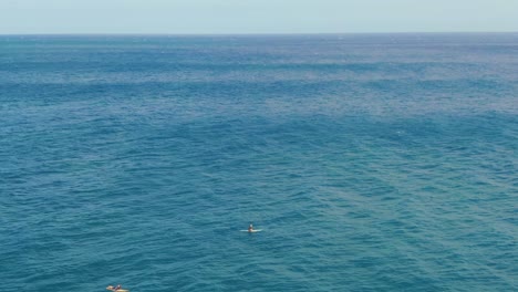 surfers paddle surfboards on calm blue water of ocean waiting for big waves on a sunny day in hawaii, aerial view