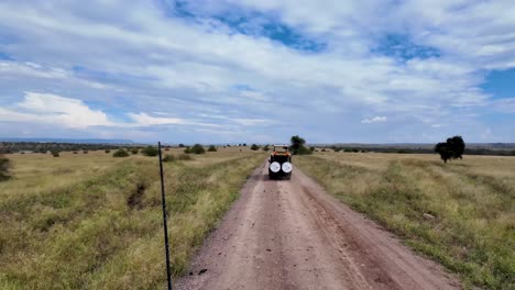 un viaje tranquilo: camino sin pavimentar en medio de la naturaleza
