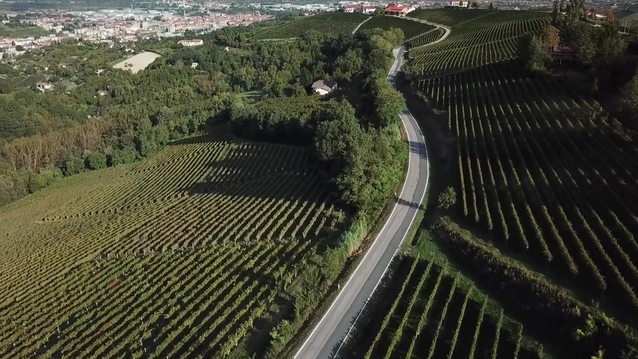 Strada tortuosa attraverso i vigneti del Piemonte, Italia