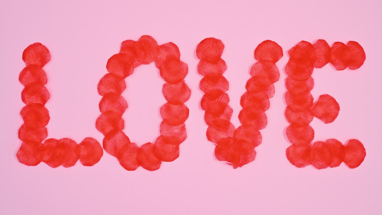 파스텔 분홍색 테마에 장미 잎자루로 쓰여진 사랑. 스 모션