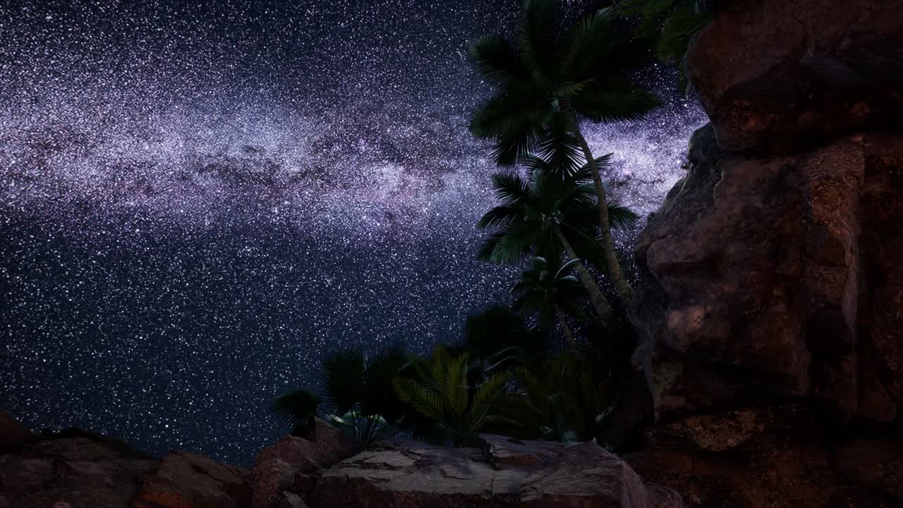 4K hyperlapse star trails over sandstone canyon walls and palms