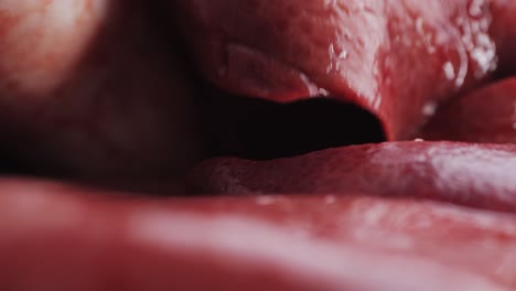 close-up view of raw liver