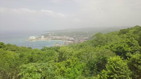 Aerial-over-treetops-reveals-Montego-Bay-Jamaica