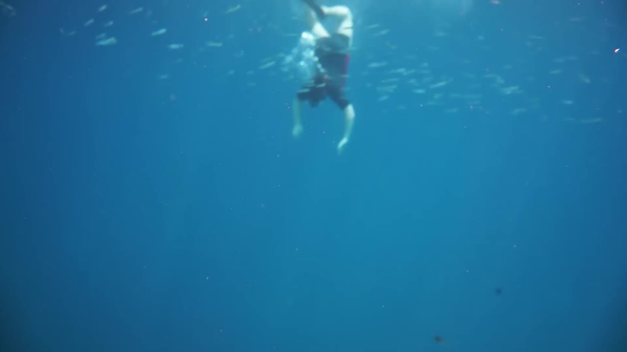 몰디브 의 산호초