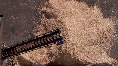 overhead shot of sawdust conveyor at work at sawmill