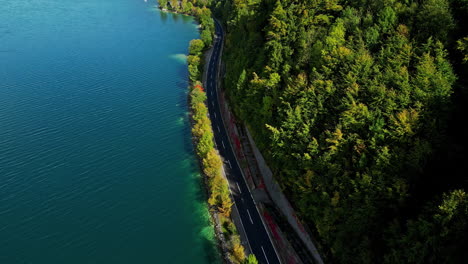 beautiful road between lake and dense forest