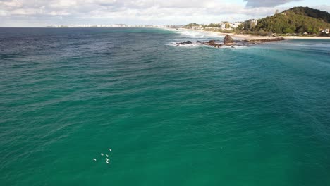 aerial view of currumbin alley on the gold coast in queensland, australia - drone shot