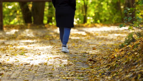 Person-walking-on-a-sunlit-path-covered-with-autumn-leaves