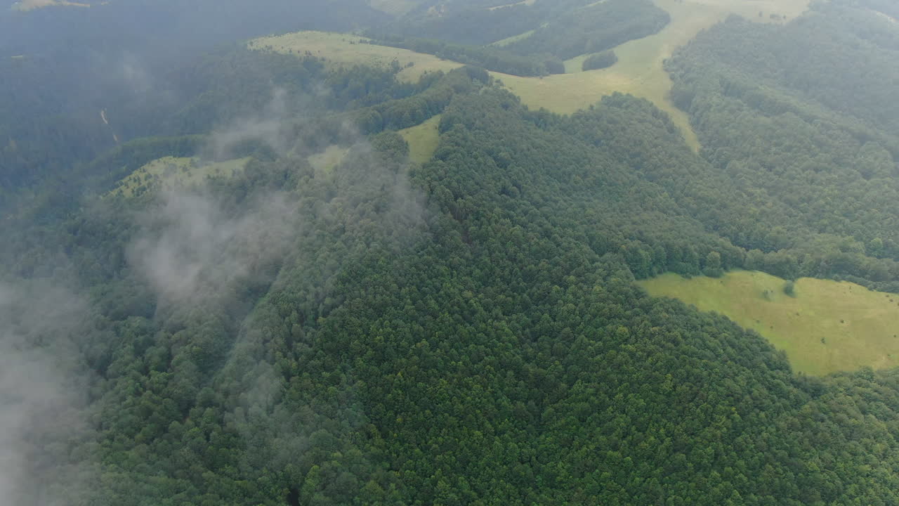 Aerial view of a forested area with some grass patches There is also cloud cover in the image The trees are dense and the grass is open