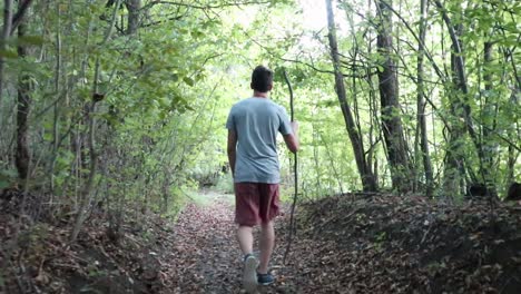 a man walks on a footpath in forest, daytime, summer season