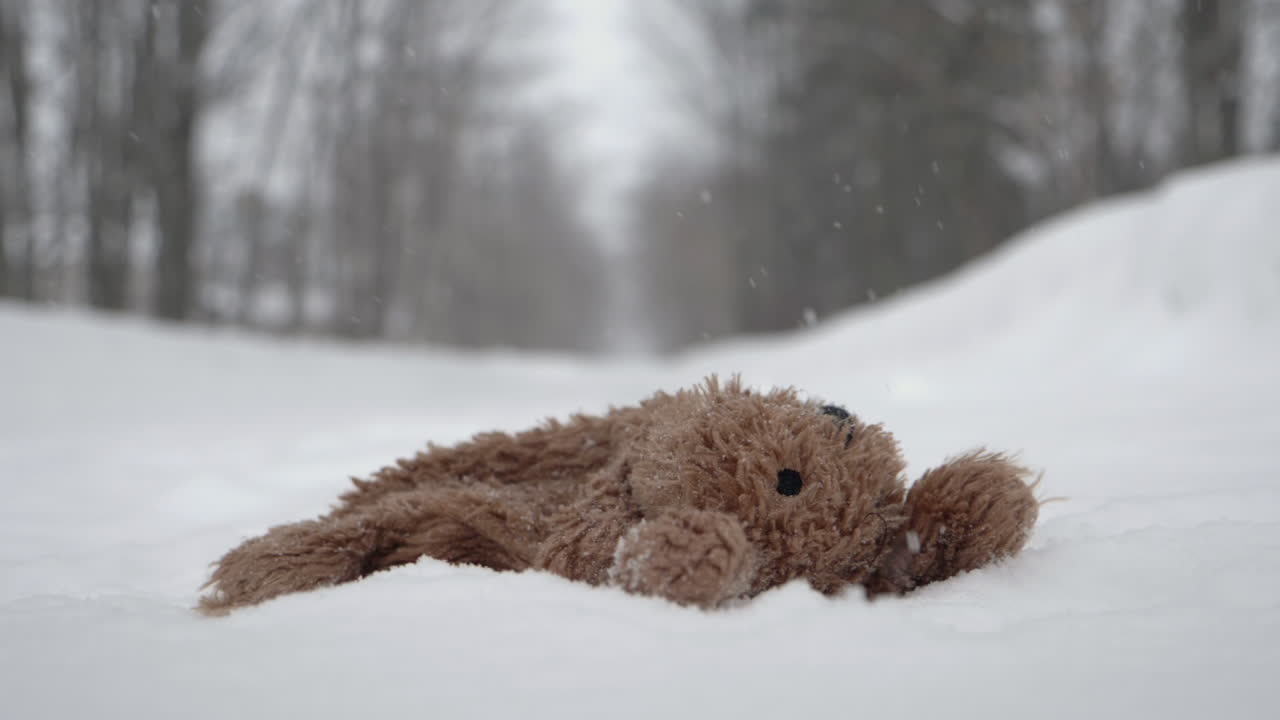 Slow motion of teddy bear being dropped on walking path on snowy winter day.
