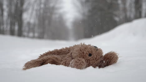 slow motion of teddy bear being dropped on walking path on snowy winter day.
