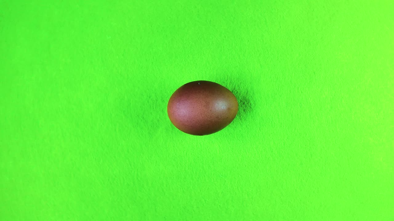 Single brown egg rotating on a bright green background