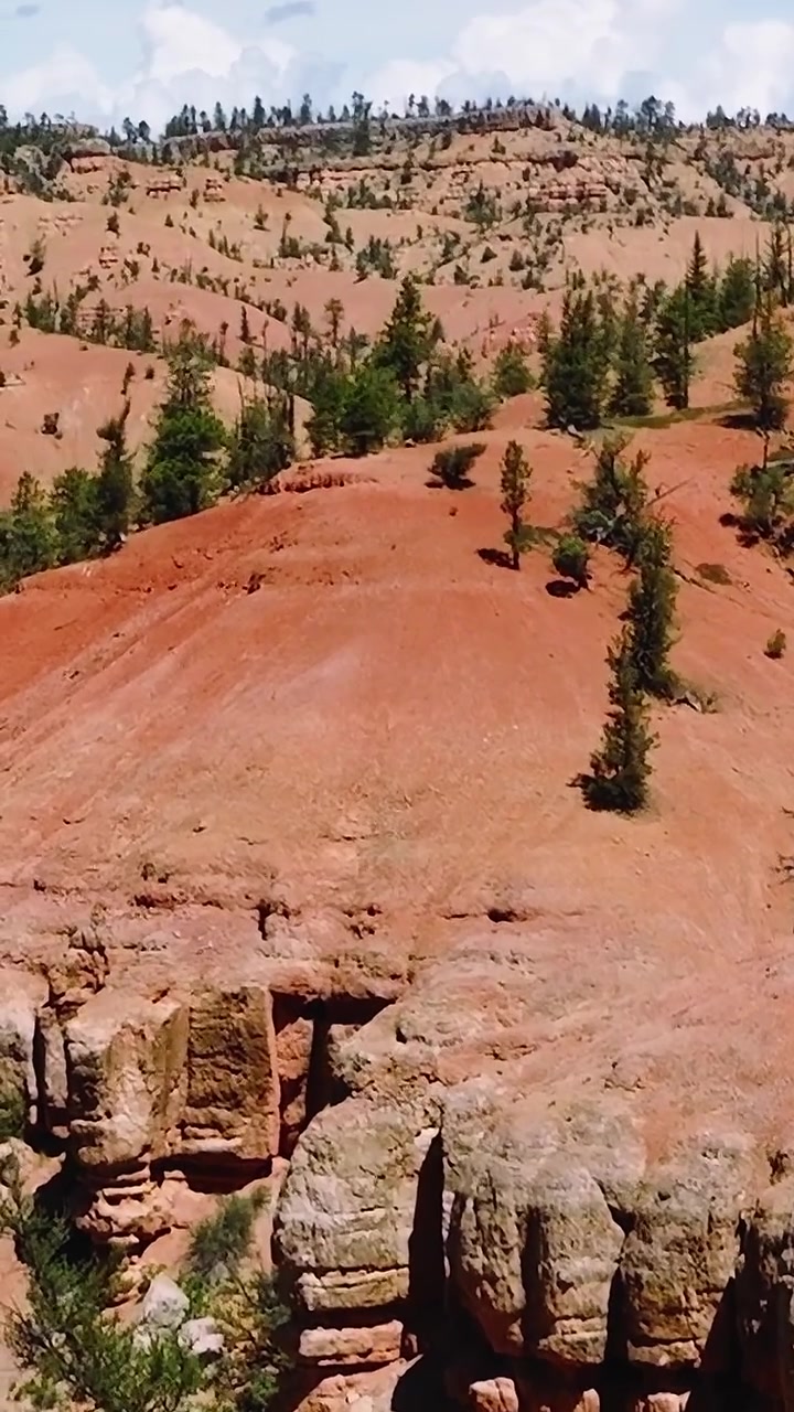 Paesaggio del Mojave che mostra colline, rocce e alberi sotto un cielo sereno