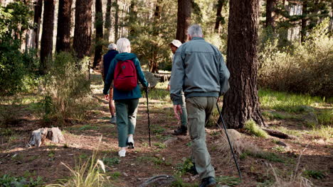 senior hiking group in the forest