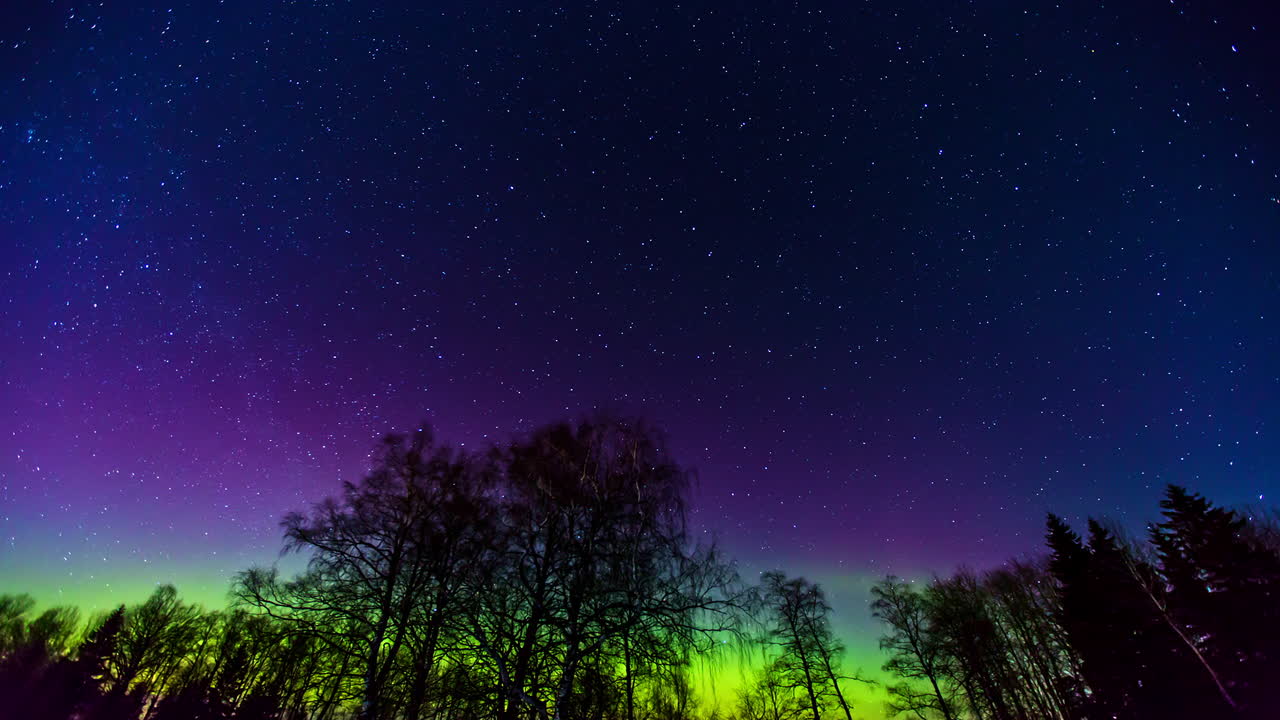 lapso de tiempo en movimiento de aurora boreal, aurora boreal o luz polar en el hermoso cielo nocturno sobre el bosque, fondo realista de animación de lapso de tiempo de aurora