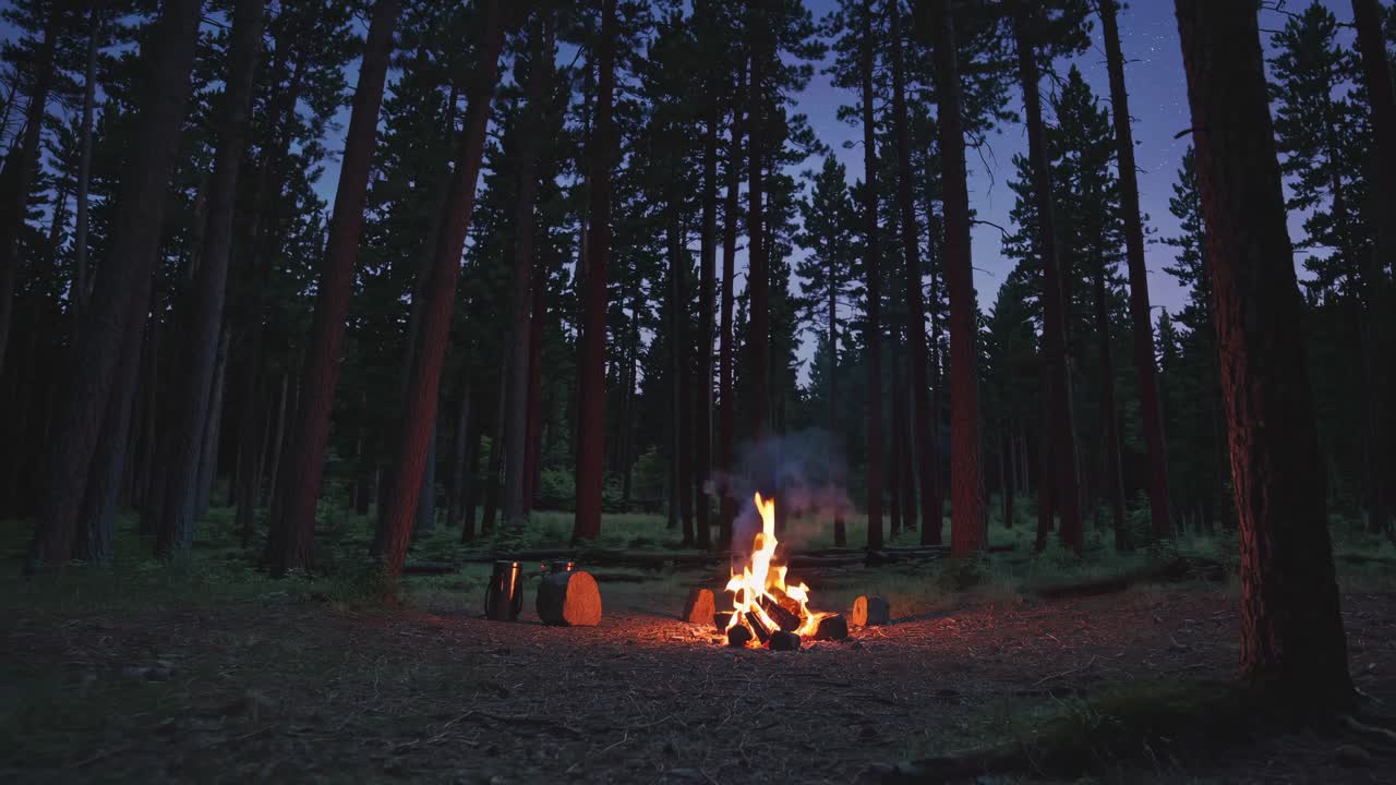 En rolig skovscene med et lejrbål om natten, fanget fra en lav engel