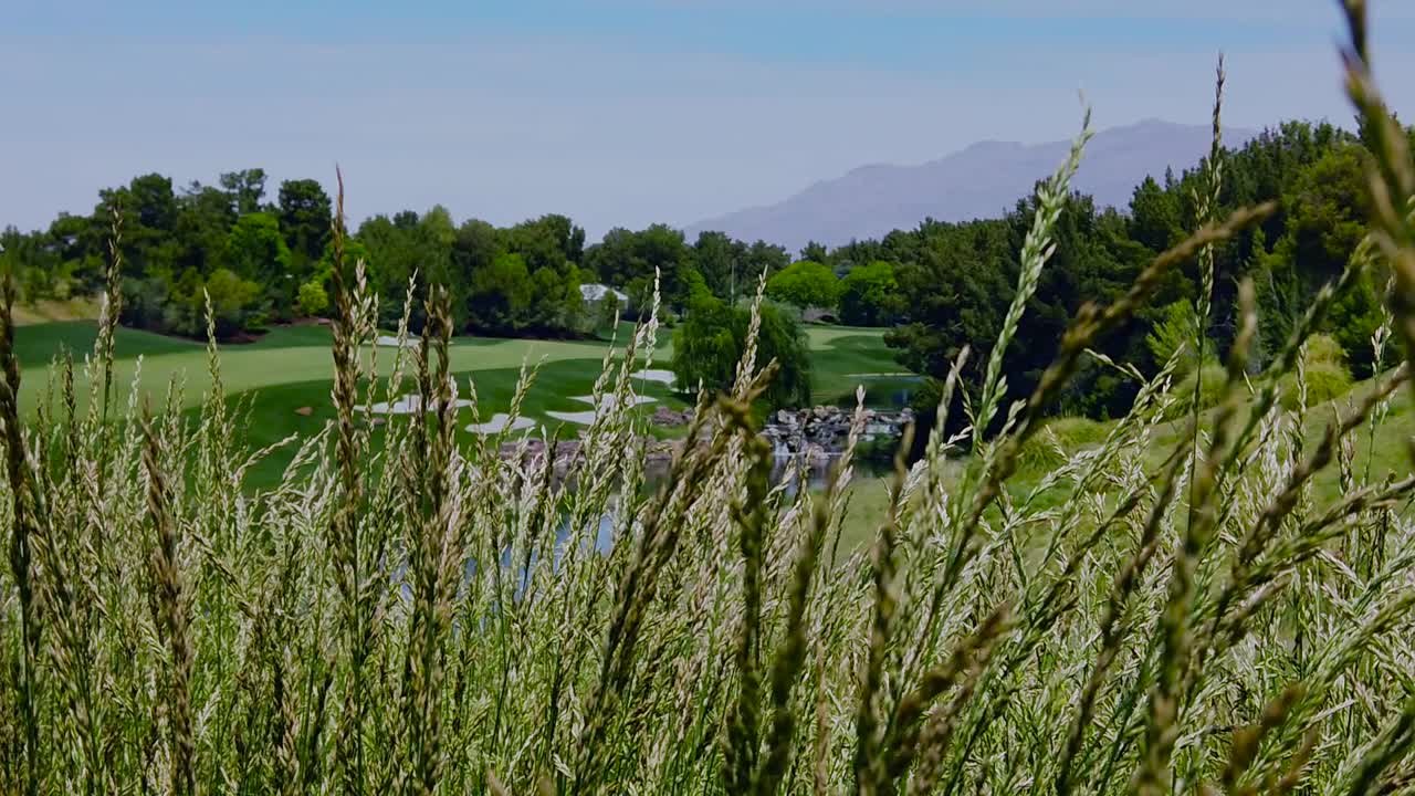 부서진 색상으로 키 큰 풀을 가로지르는 hd 손