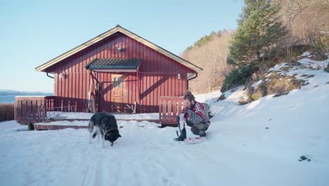 man feeding his alaskan malamute dog outside the wooden cabin at winter