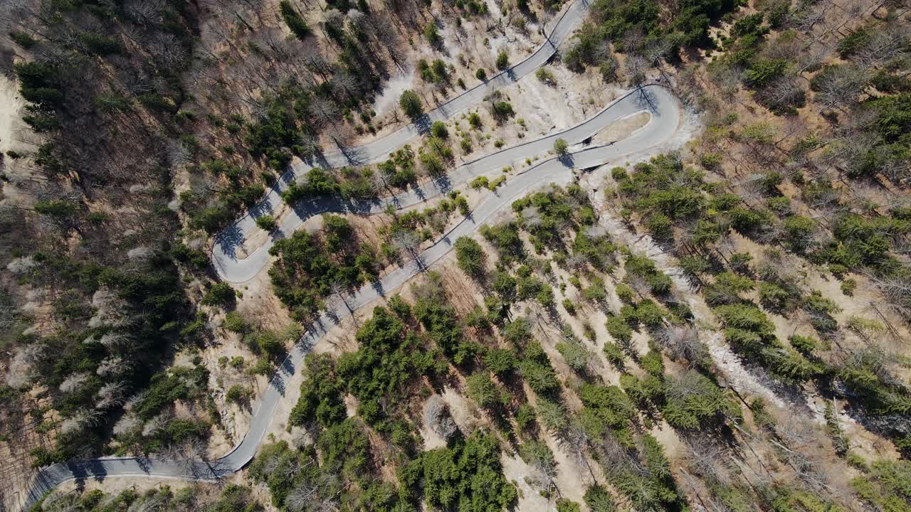 Aerial view of Trenta Valley road through dense forest in Slovenia’s Julian Alps