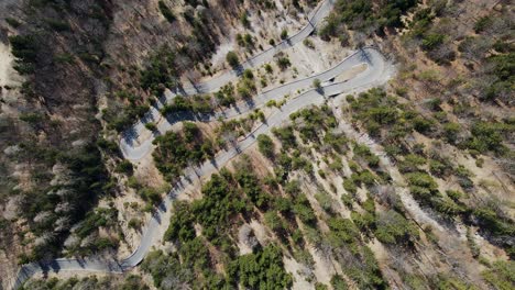 aerial view of trenta valley road through dense forest in slovenia’s julian alps