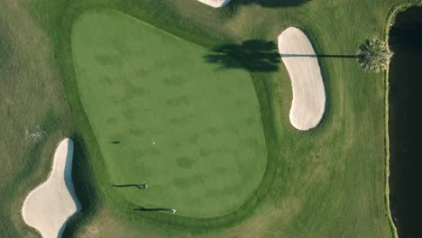 top down bird's eye view of two golfers with long shadows walking onto a putting green in between sand trap bunkers on a summer afternoon