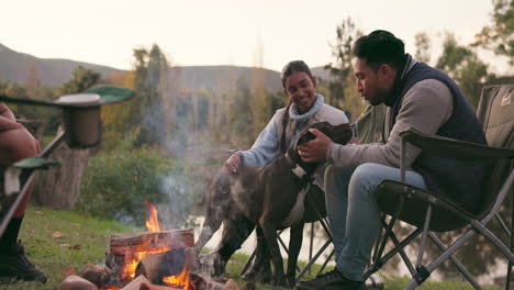 personas, acampar con un perro y fuego en la naturaleza