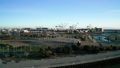 Grúas-De-Envío-Listas-Para-Un-Día-Ajetreado-Al-Sol-De-La-Mañana-En-La-Bahía