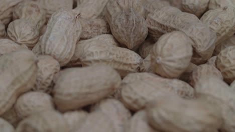 rotating excellent peanuts. close-up of peanuts in their shells.provide high protein
