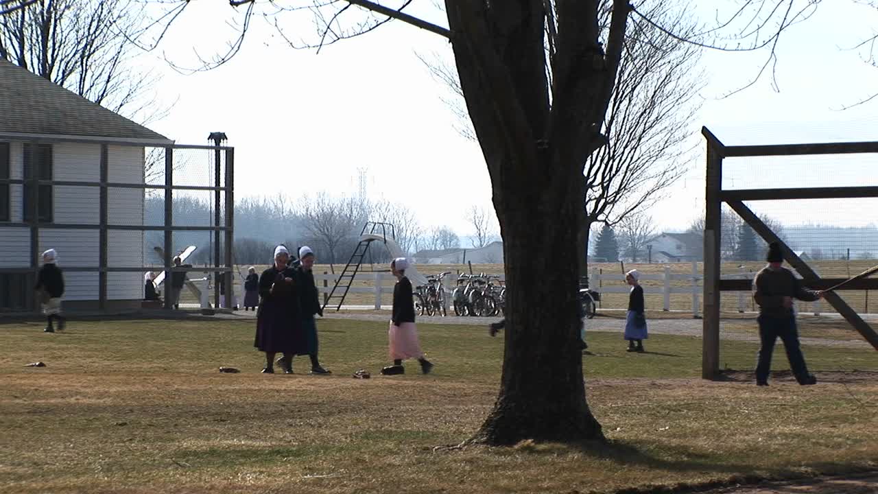 un grupo de jóvenes amish están jugando al aire libre