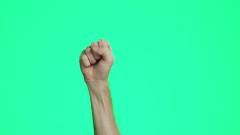 Green-screen,-protest-and-hand-in-fist-in-studio