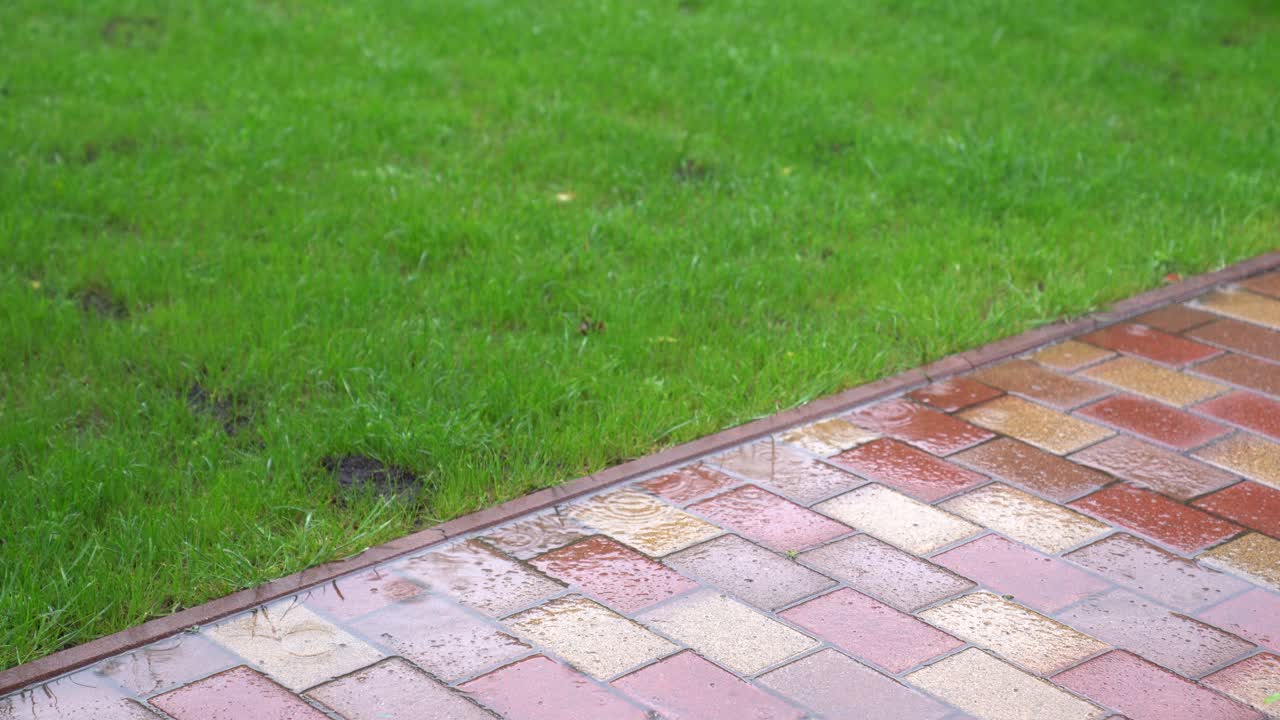비가 오는 날 잔디와 포장 돌