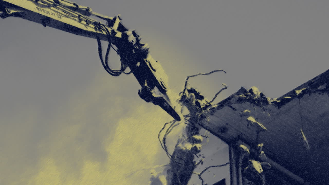 grulla masticando 07