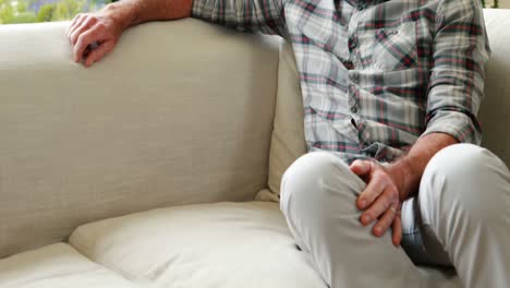 portrait of smiling senior man sitting on sofa in living room