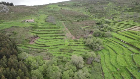 Aerial-view-of-beautiful-valley-landscape-in-Monchique,-Portugal,-establishing-shot