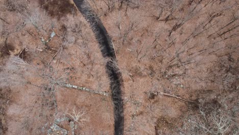 Camino-Forestal-Accidentado-A-Través-De-Un-Bosque-Rocoso-Con-Un-Dosel-De-árboles-Caducifolios-Desnudos-En-Las-Montañas-Apalaches-Durante-El-Invierno-O-El-Otoño