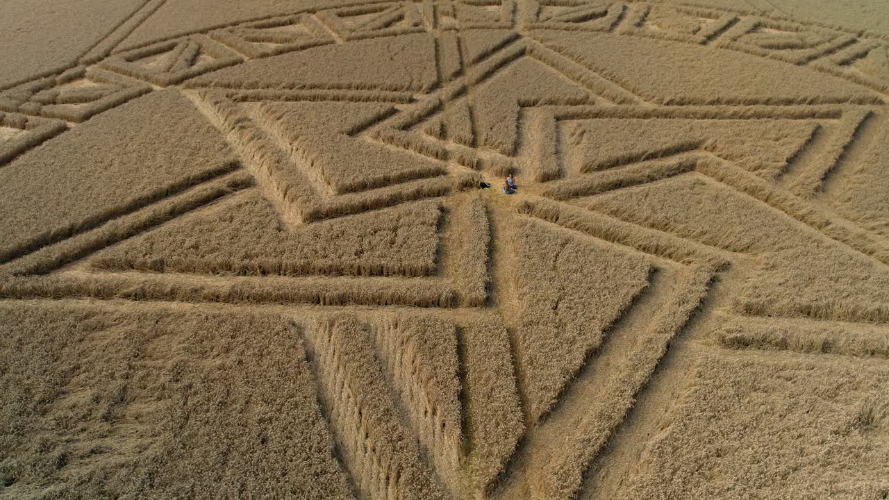 oeste meon campo campo de cebada elaborado geométrico estrella crop circle vista aérea cerrar órbita derecha