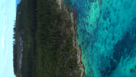 Coral-reef,-columnar-pine-forest-on-Cape-Wabao,-Maré-Island