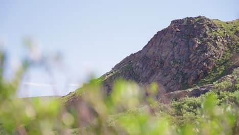 mountain landscape pan | mount bierstadt, colorado