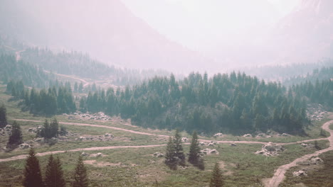 Winding-road-in-the-mountains-with-pine-forest