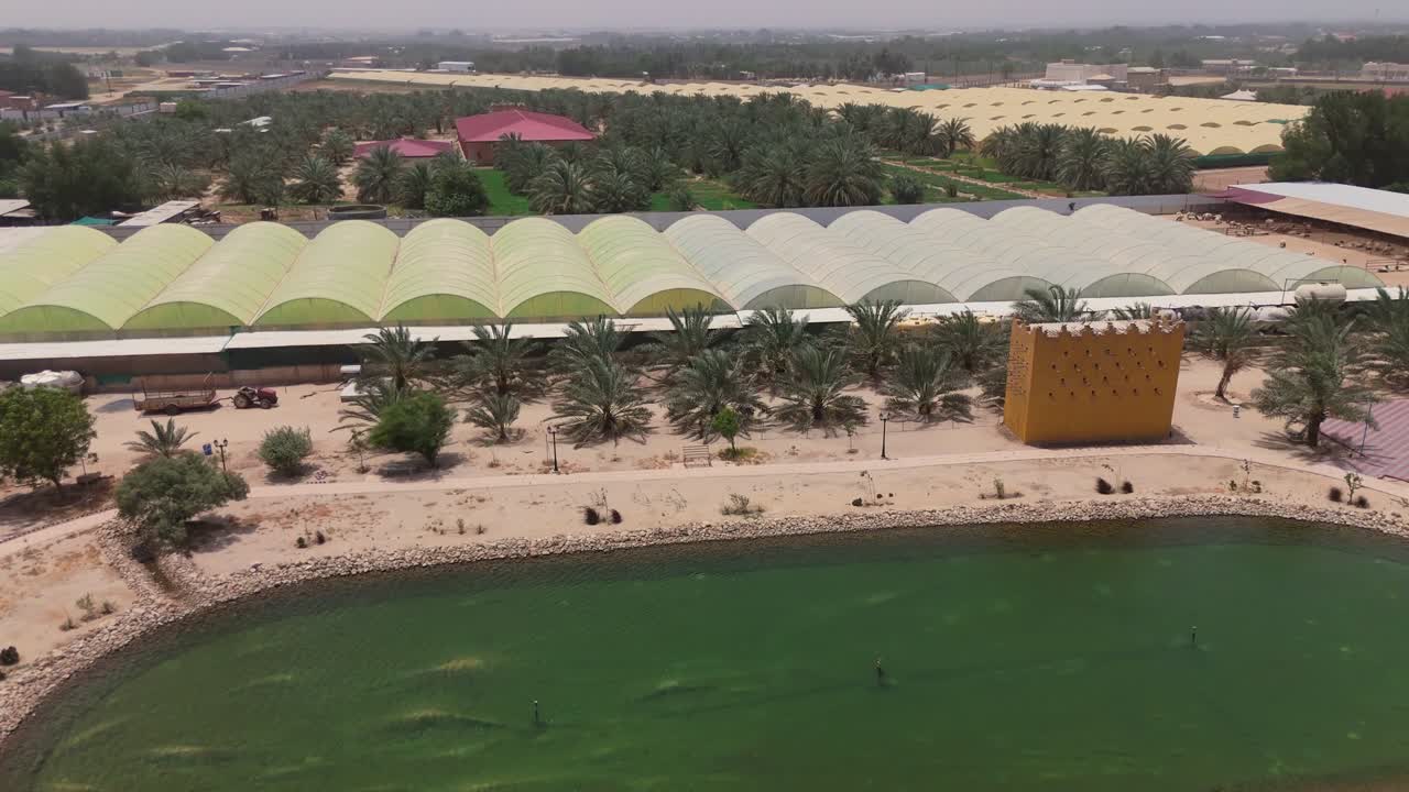 Stunning 4K drone footage of a desert farm featuring rows of palm trees, industrial greenhouses, and a tranquil pond—perfect for agricultural, environmental, and documentary use.