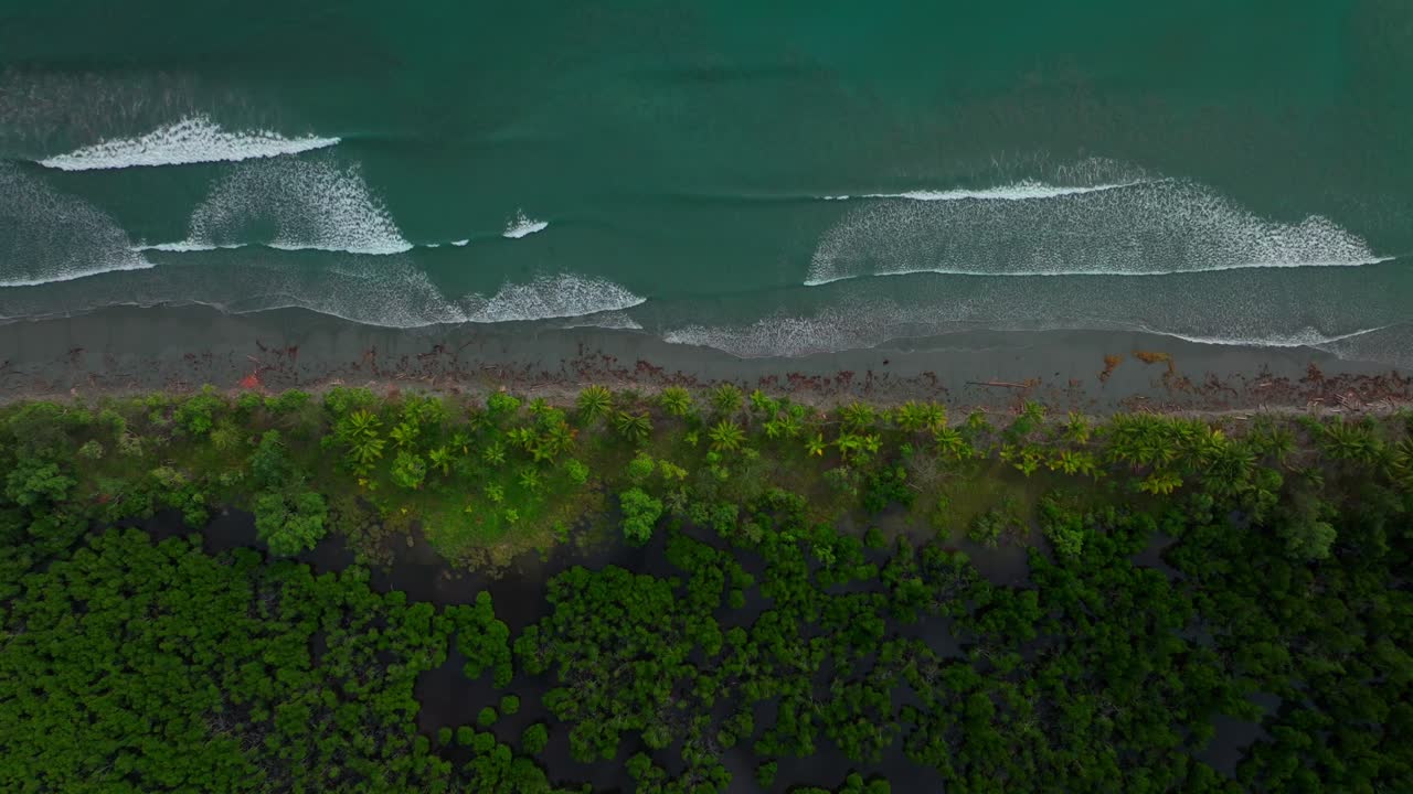 Wave swell Cape Wom Public Beach Dogreto Bay Madang Wewak harbor view Papua New Guinea aerial drone Kavieng Vanimo Tufi island coastline sunny pristine untouched remote tropical shore left motion