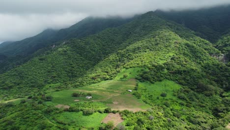 aerial view of lush green hills and farmland in portugal, featuring dense forest, open meadows, scattered houses, and mist-covered mountain peaks—perfect for nature, travel, or rural themes.